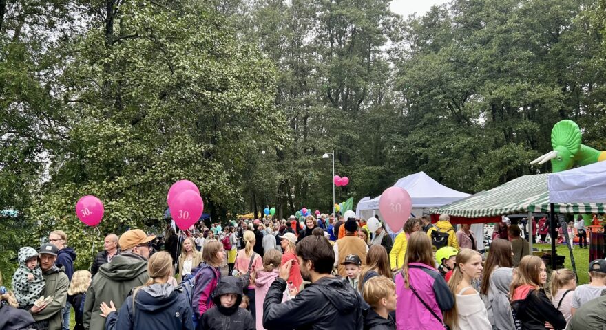 Lauttasaari.fi